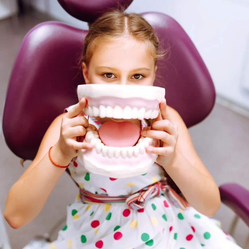 Girl holding dental model in dentist's office for early orthodontic treatment