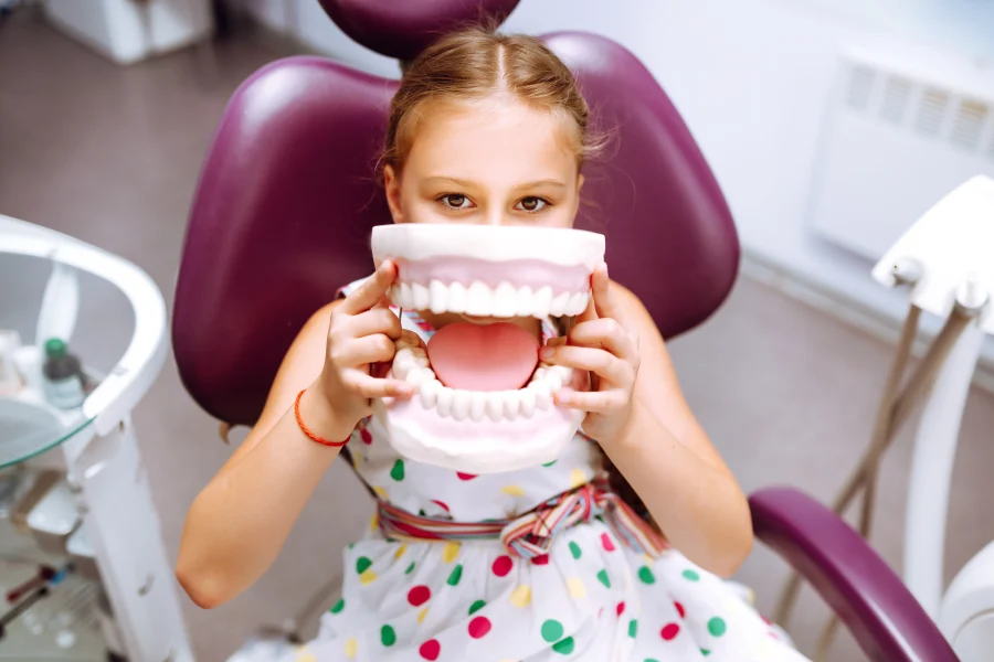 Girl holding dental model in dentist's office for early orthodontic treatment